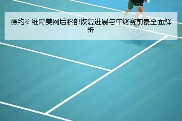 德约科维奇美网后膝部恢复进展与年终赛前景全面解析